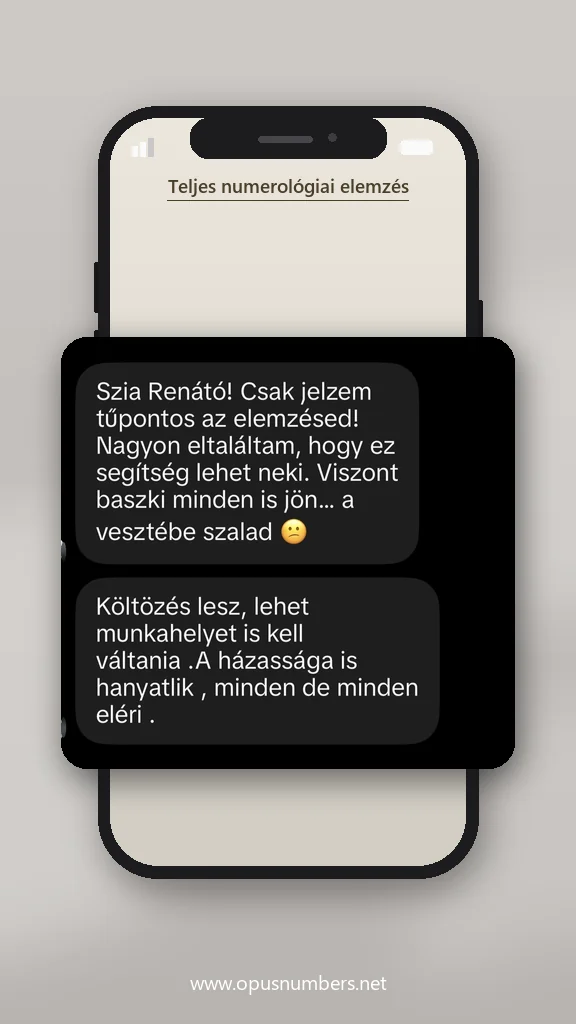 Ügyfélvélemény a numerológiai elemzésről (üzenet képernyőképe) – 12. / 38