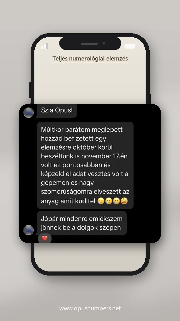 Ügyfélvélemény a numerológiai elemzésről (üzenet képernyőképe) – 19. / 38