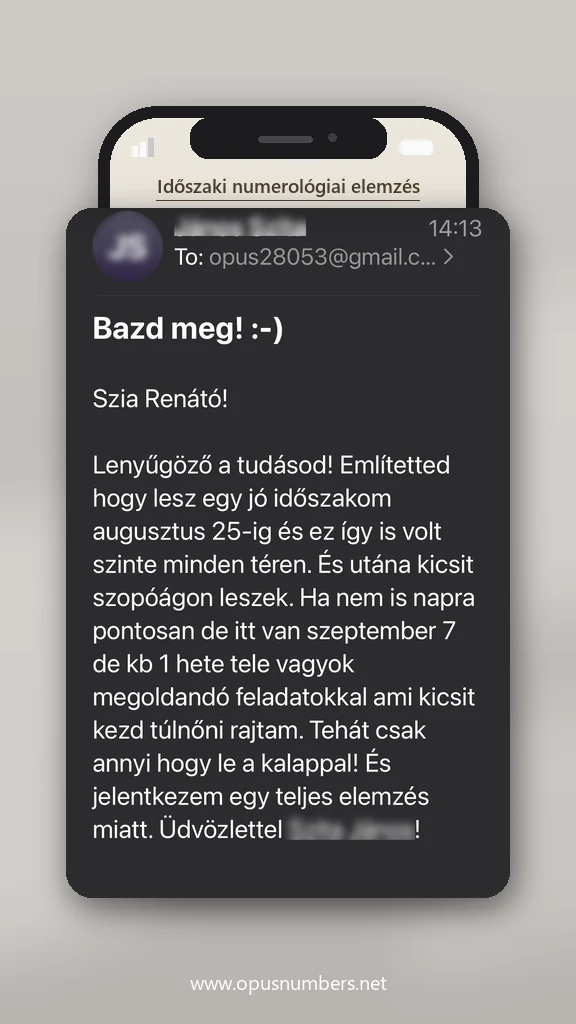 Ügyfélvélemény a numerológiai elemzésről (üzenet képernyőképe) – 8. / 38